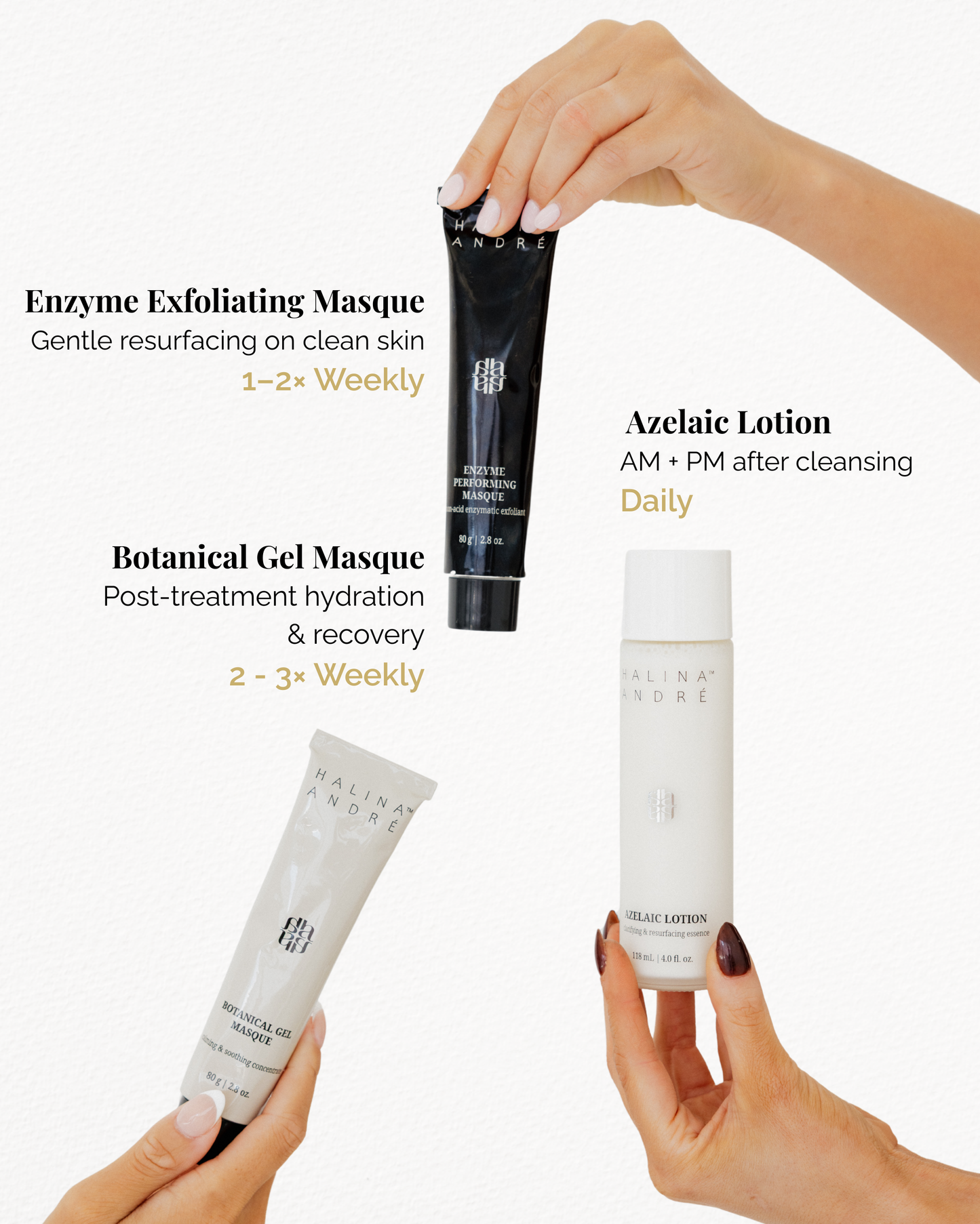 Professional Variety Bundle — 12 Units (4 per SKU)